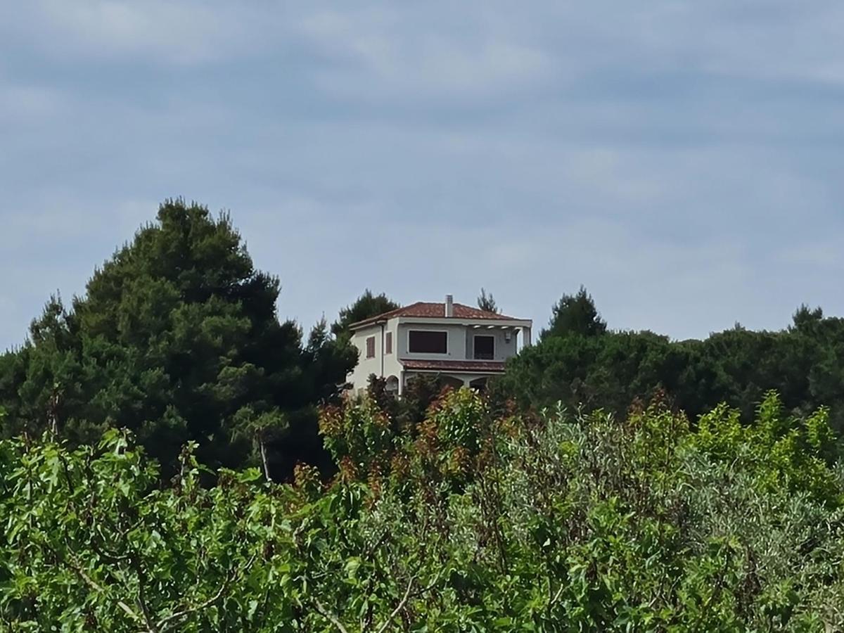 Alghero - House With Panoramic View Immersed In Full Nature Eksteriør bilde